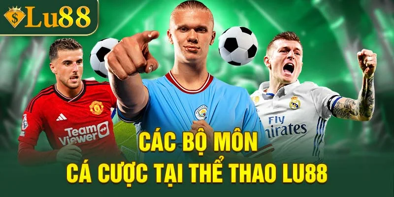 Các bộ môn cá cược tại thể thao LU88