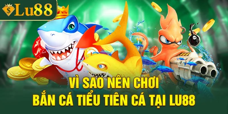 Vì sao nên chơi bắn cá Tiểu Tiên Cá tại Lu88?